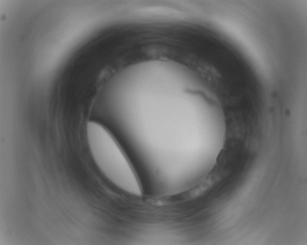 X0000062830764200601130914