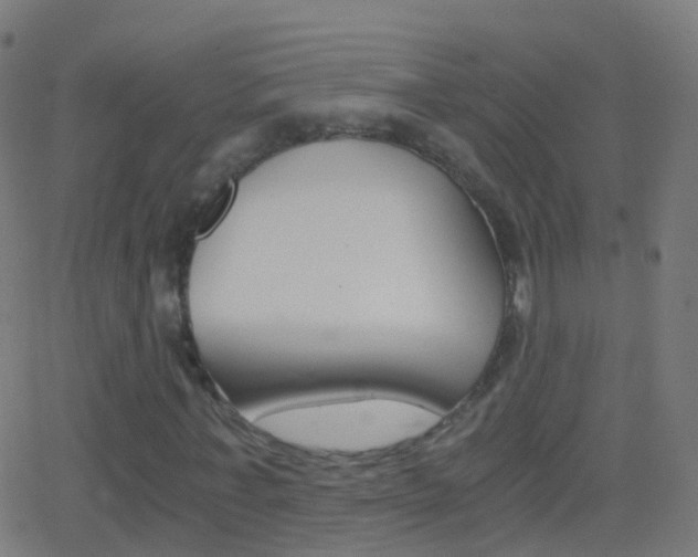 X0000062830771200601130913