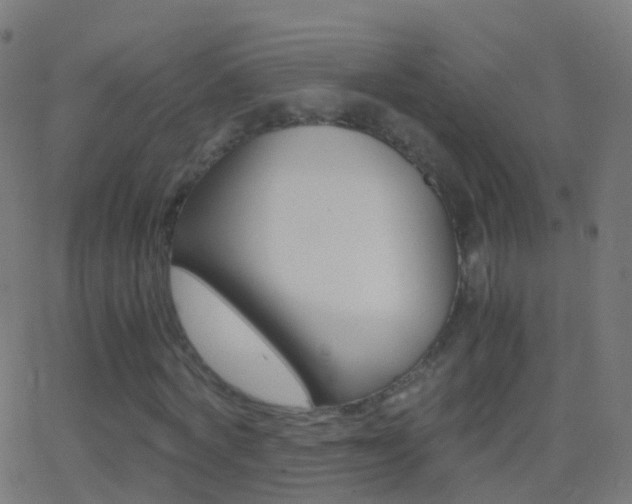 X0000062830772200601130913