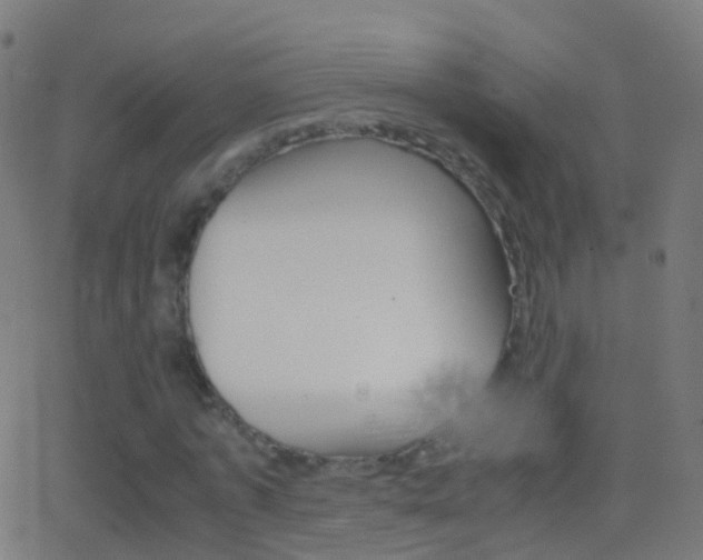 X0000062830773200601130913