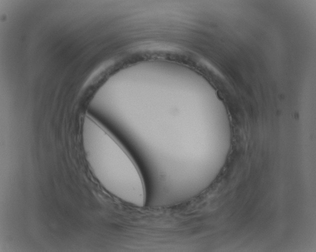 X0000062830775200601130913