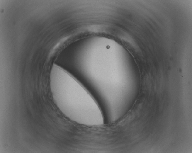 X0000062830776200601130913