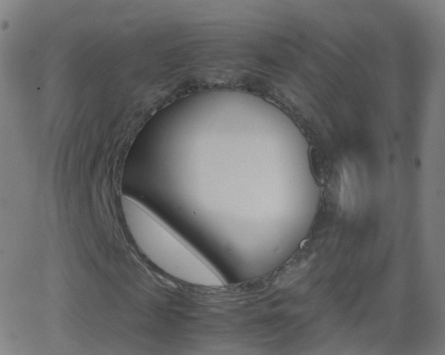 X0000062830817200601130912