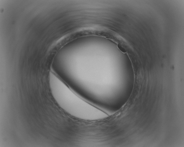 X0000062830822200601130912
