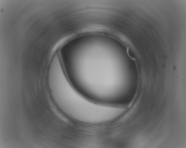 X0000062830842200601130912