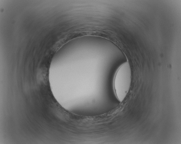 X0000062830867200601130912