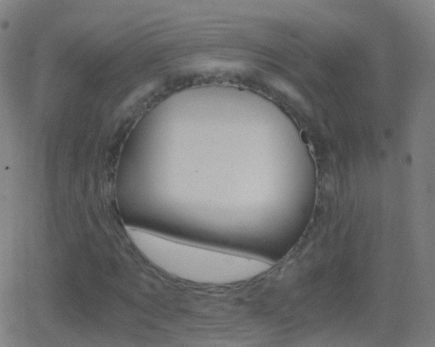 X0000062830869200601130912