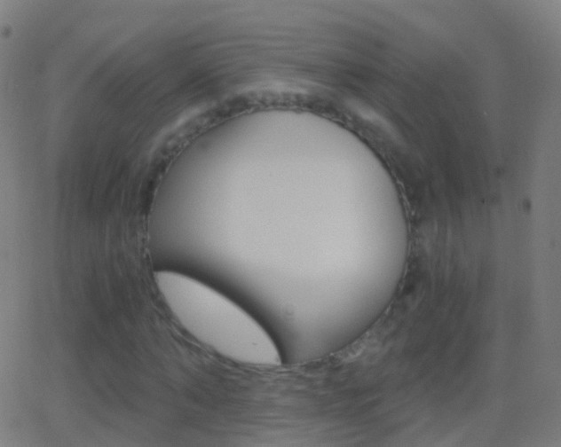 X0000062830870200601130912