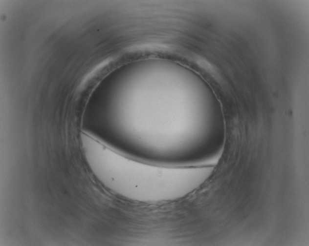 X0000062830872200601130912