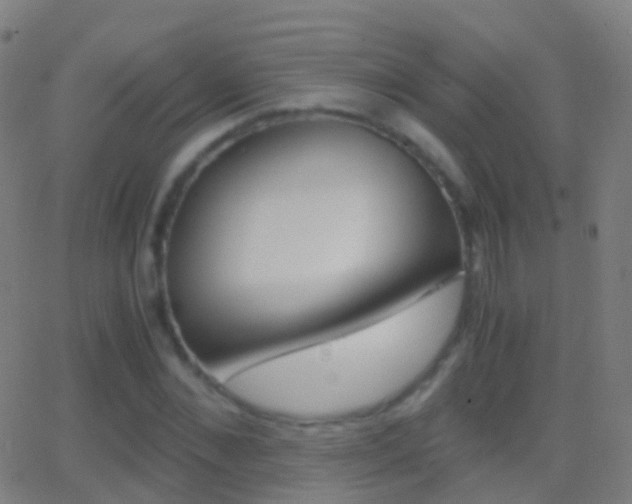 X0000062830876200601130911