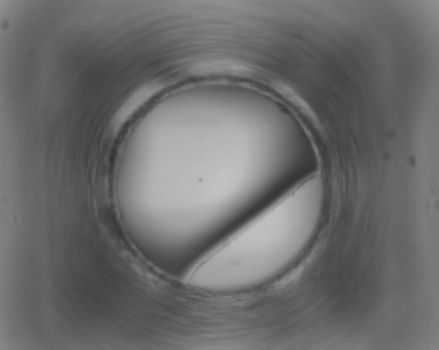 X0000062830877200601130911