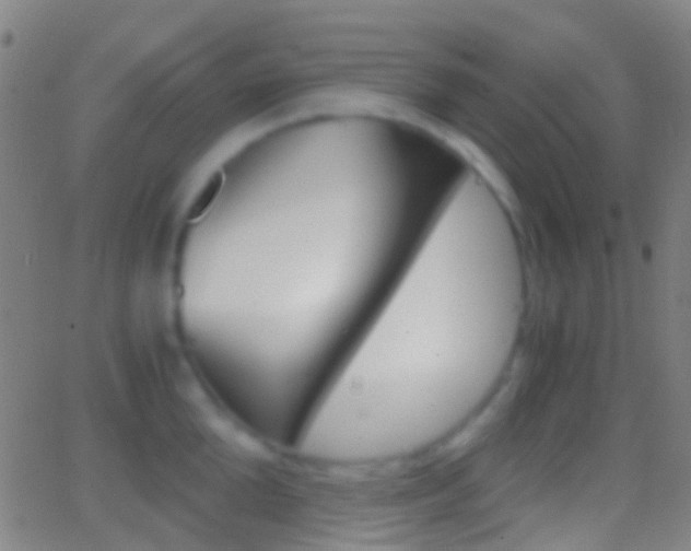X0000062830904200601130911