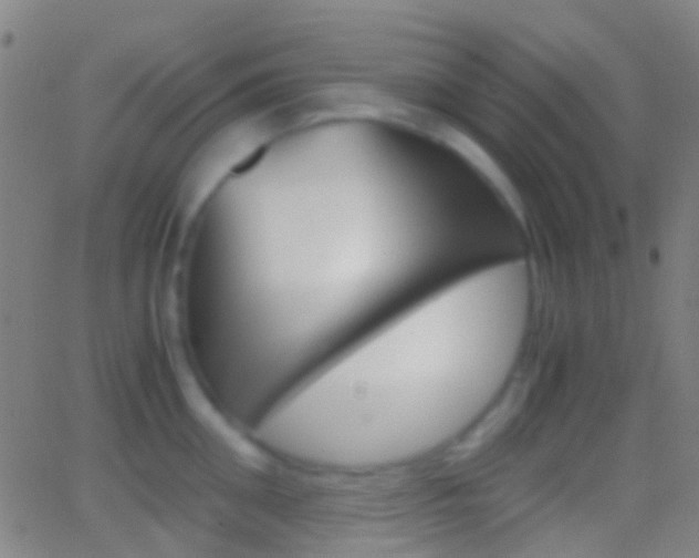 X0000062830906200601130911