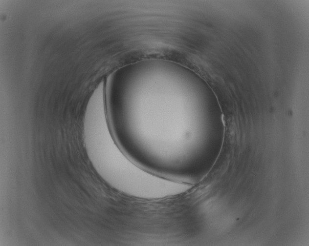 X0000062830916200601130910