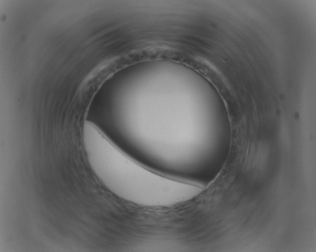 X0000062830919200601130910
