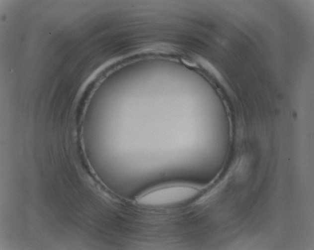 X0000062830923200601130910
