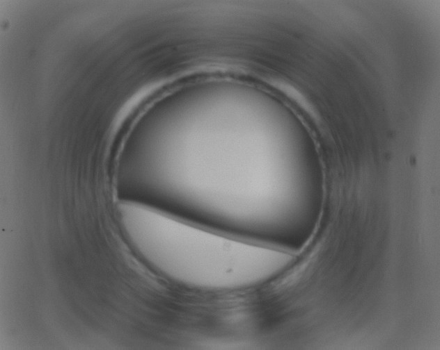 X0000062830927200601130910