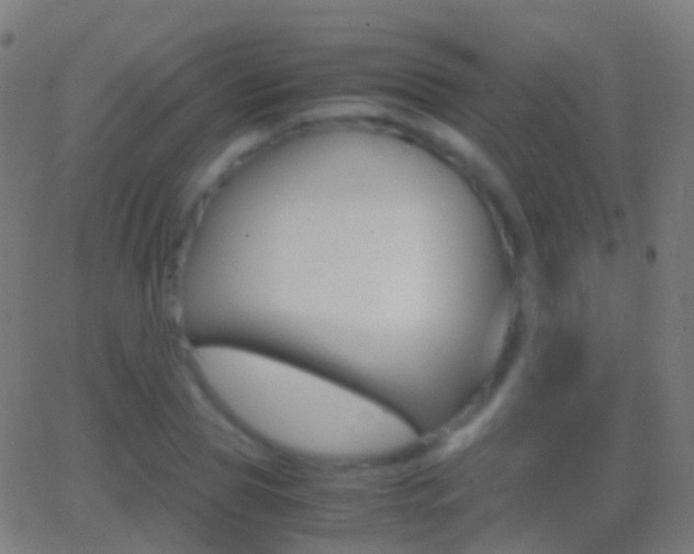 X0000062830929200601130910
