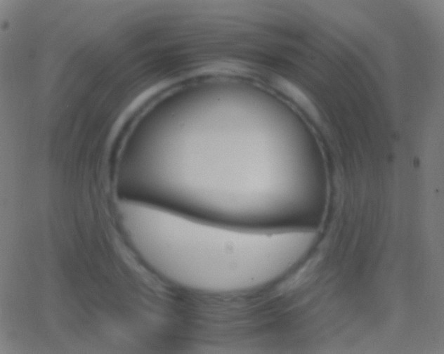 X0000062830931200601130910