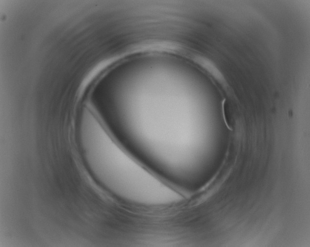 X0000062830936200601130910