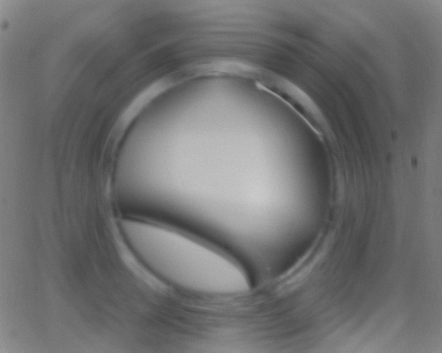 X0000062830946200601130911
