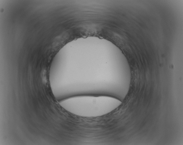X0000062830962200601130910