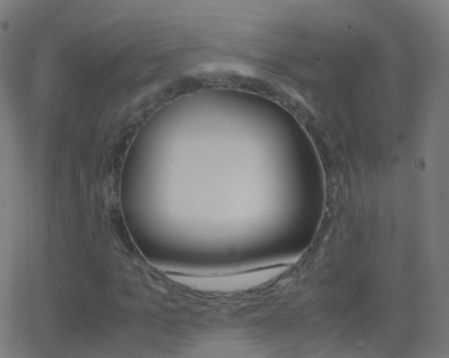 X0000062830965200601130910