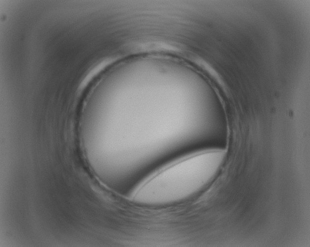 X0000062830975200601130910