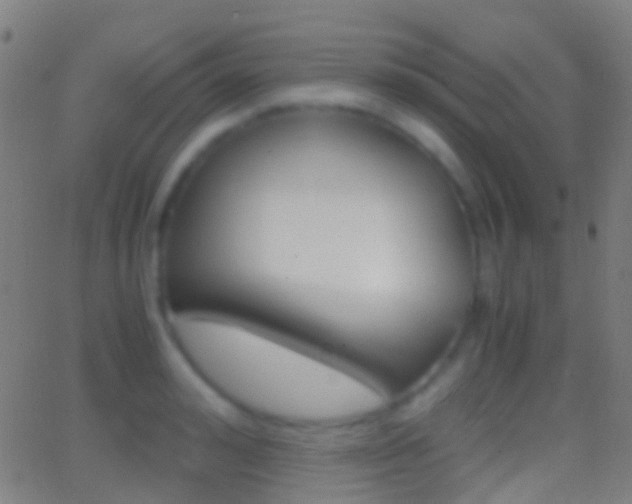 X0000062830992200601130909