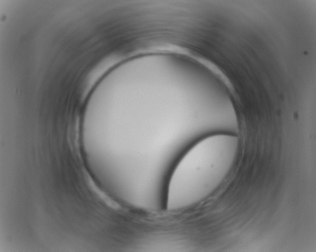 X0000062831006200601130909