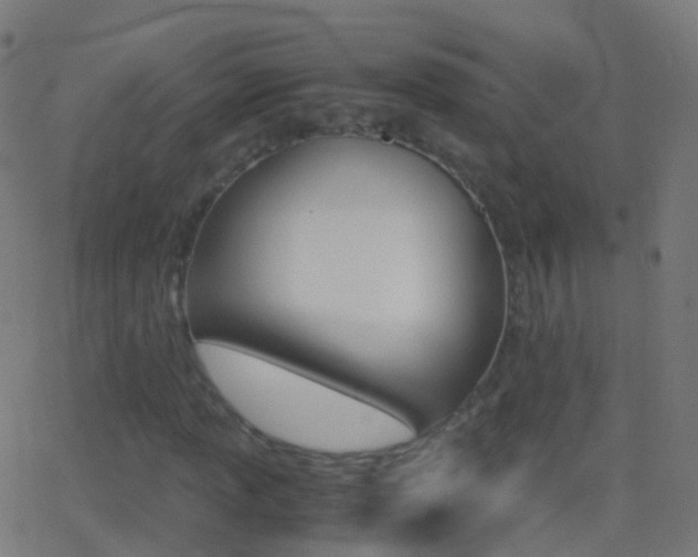 X0000062831013200601130908