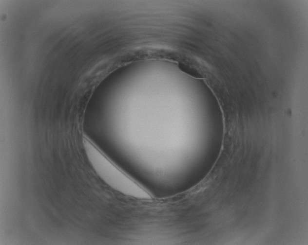 X0000062831014200601130908