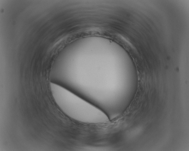 X0000062831015200601130908