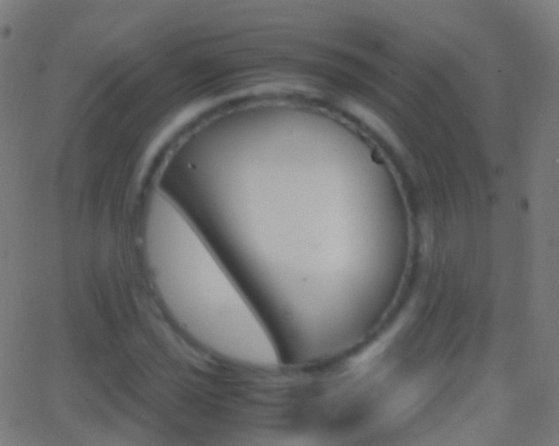 X0000062831021200601130909