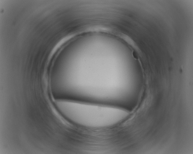 X0000062831032200601130909