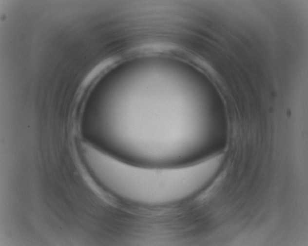 X0000062831034200601130909