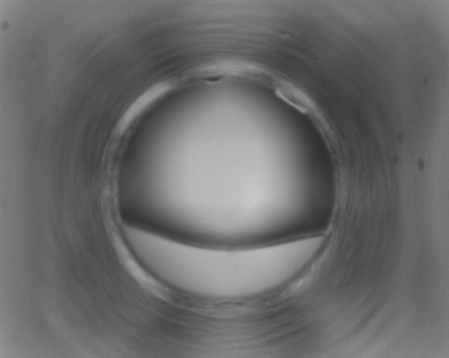 X0000062831042200601130909