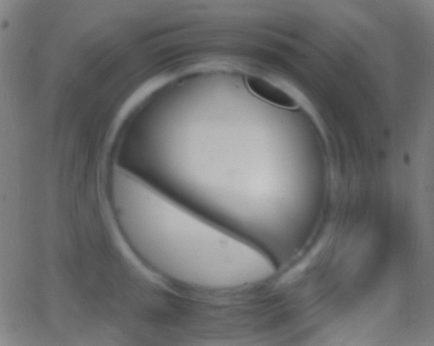 X0000062831045200601130909