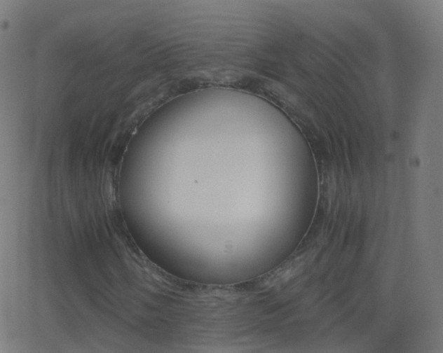 X0000062831058200601130908