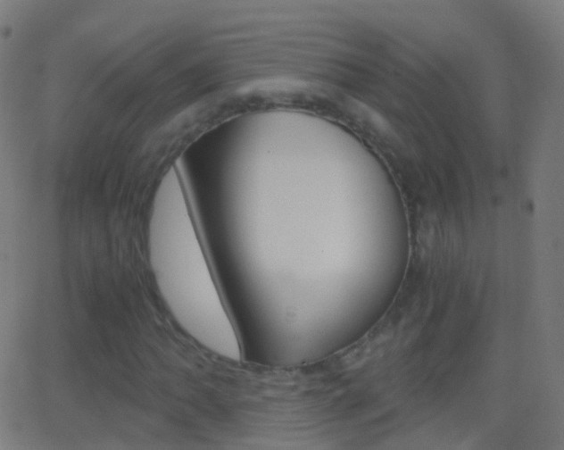 X0000062831062200601130908