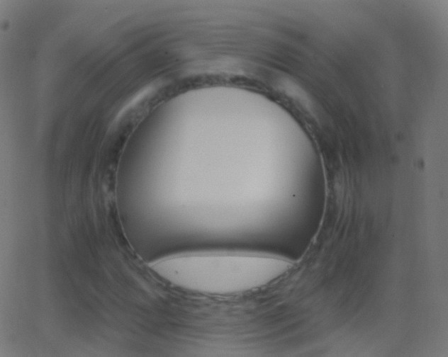 X0000062831064200601130908