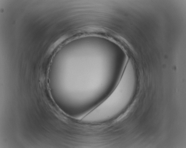 X0000062831065200601130908