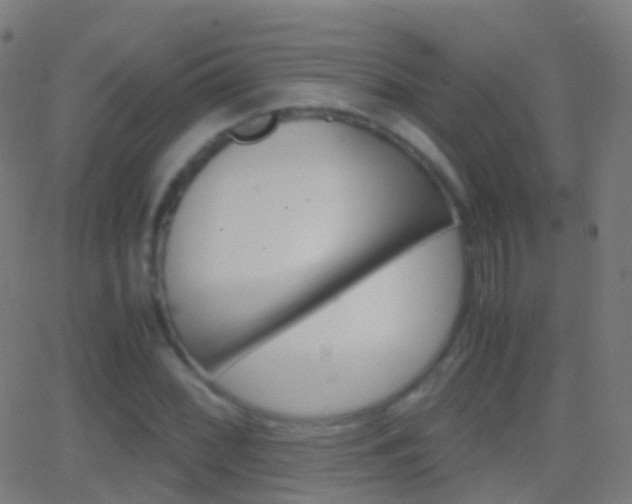 X0000062831068200601130908