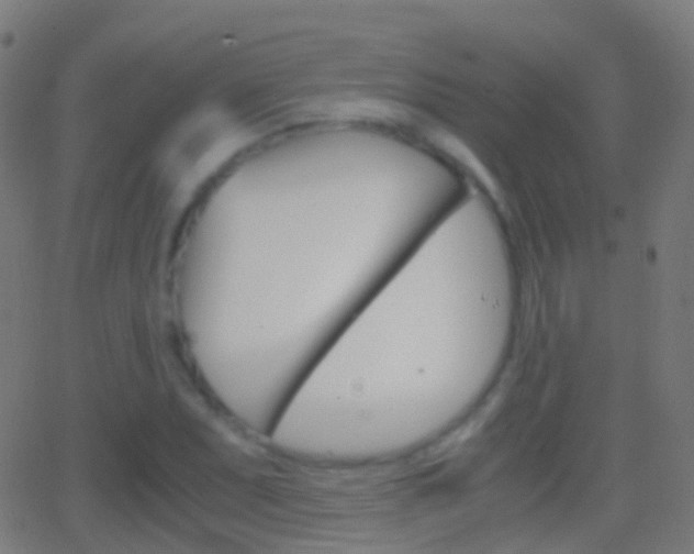 X0000062831071200601130908