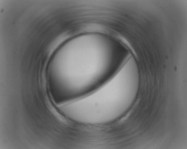 X0000062831082200601130908