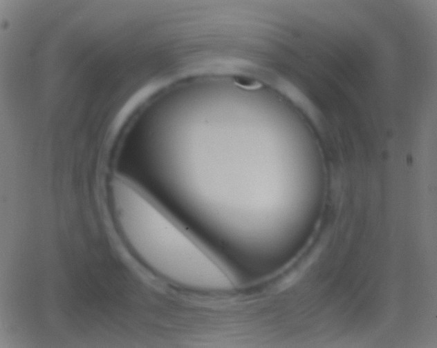 X0000062831085200601130908
