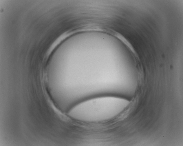 X0000062831101200601130908