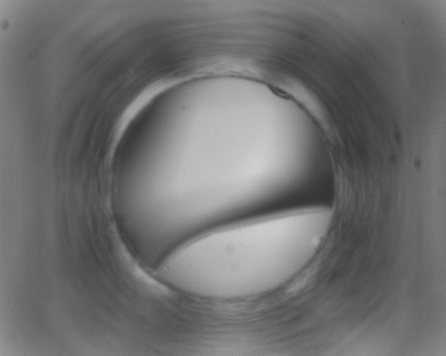 X0000062831102200601130908