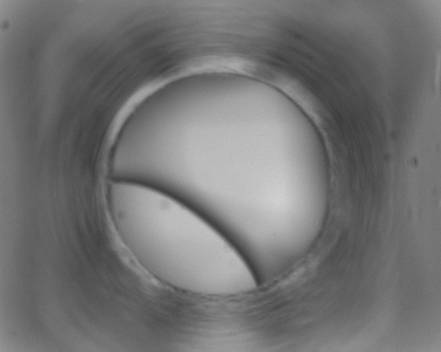 X0000062831104200601130908