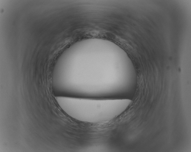X0000062831105200601130907
